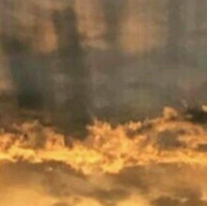 Meet your Posher, Valeria